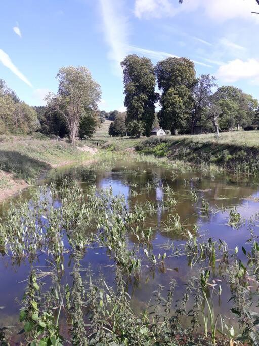 La Maisonnette Saint-Pierre-en-Auge ภายนอก รูปภาพ