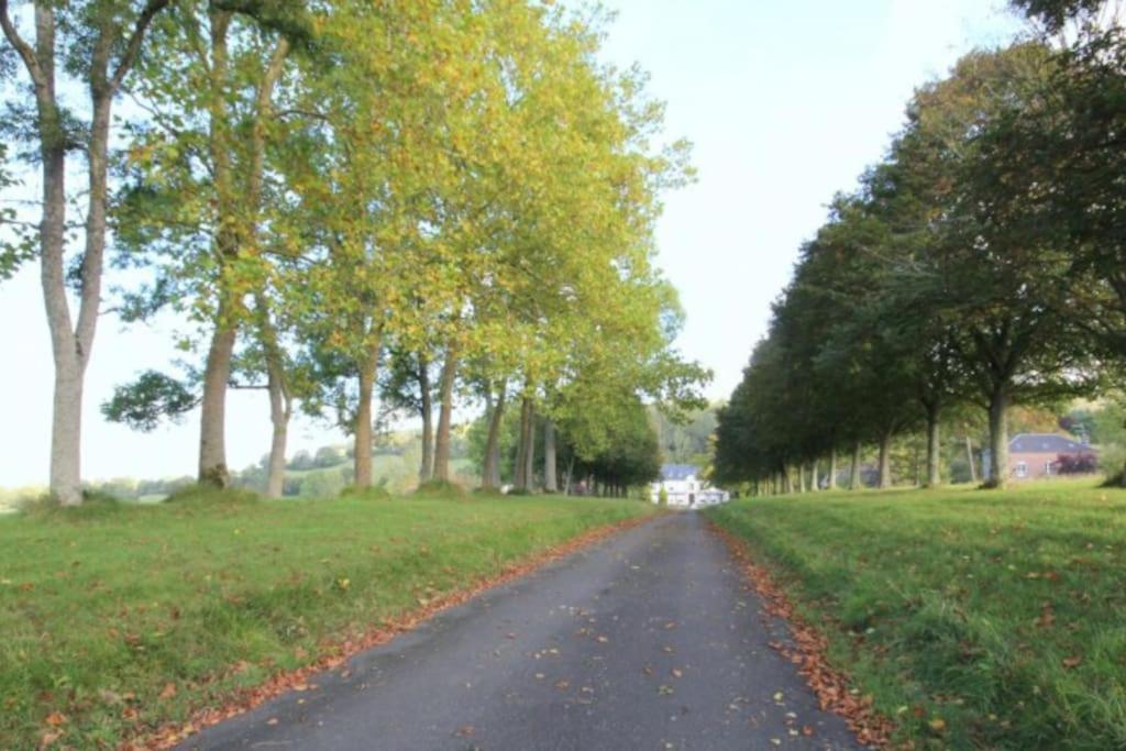 La Maisonnette Saint-Pierre-en-Auge ภายนอก รูปภาพ