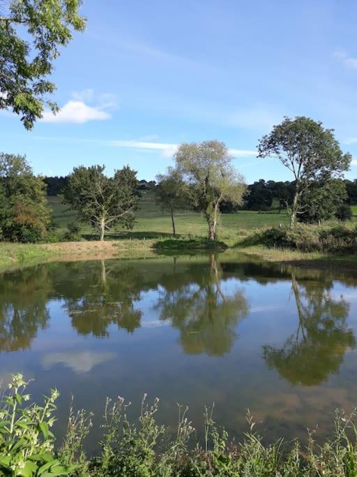 La Maisonnette Saint-Pierre-en-Auge ภายนอก รูปภาพ